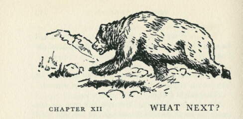 Description: C:\Web Sites\04 Biggles Info\Details\67\Illustrations\Page114.jpg
